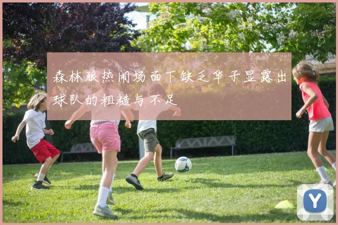 森林狼热闹场面下缺乏华子显露出球队的粗糙与不足